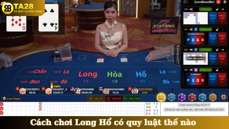 Cách chơi Long Hổ có quy luật thế nào