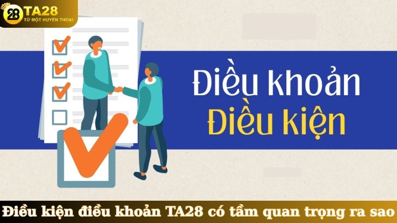 Điều kiện điều khoản TA28 có tầm quan trọng ra sao