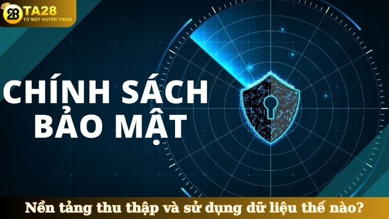 Nền tảng thu thập và sử dụng dữ liệu thế nào?